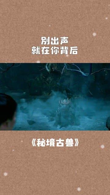 棋子的战争